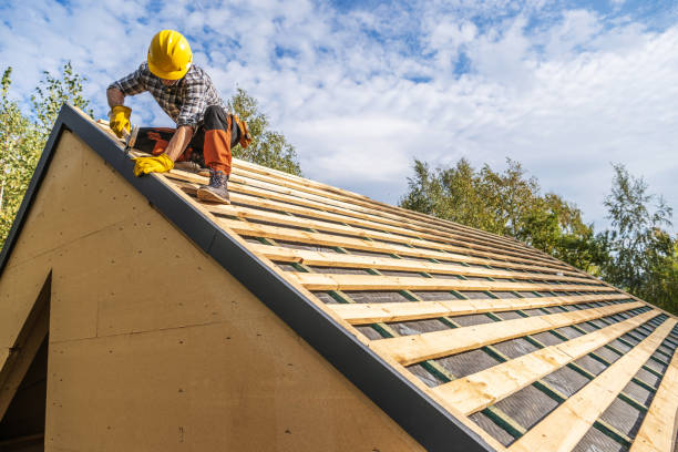 Roof Gutter Cleaning in Coshocton, OH